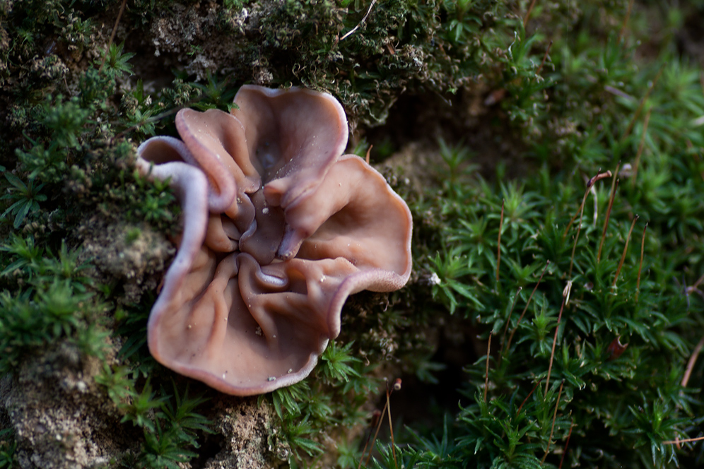 [image]