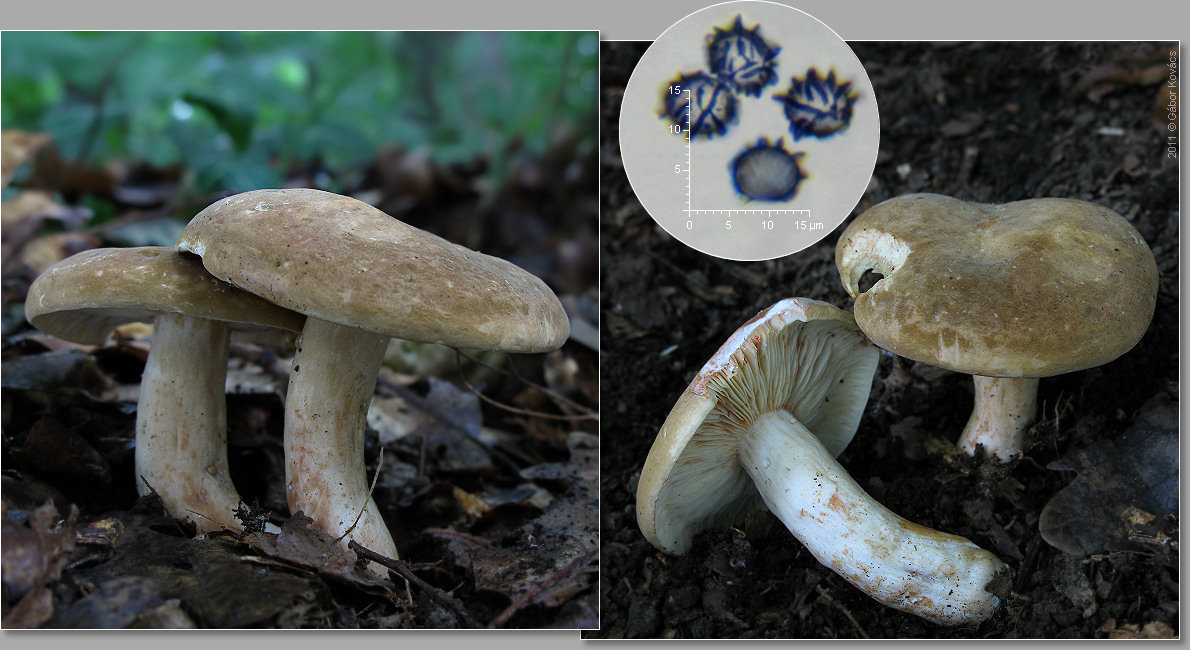 [image]