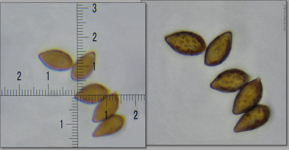 [image]
