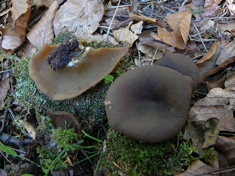 [image]