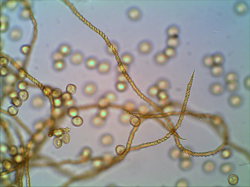 [image]
