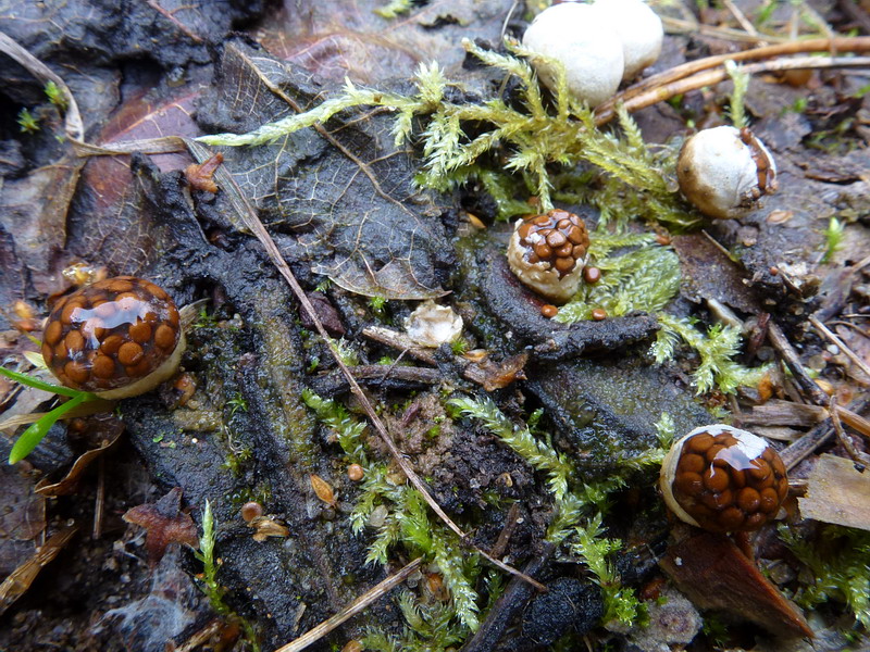 [image]