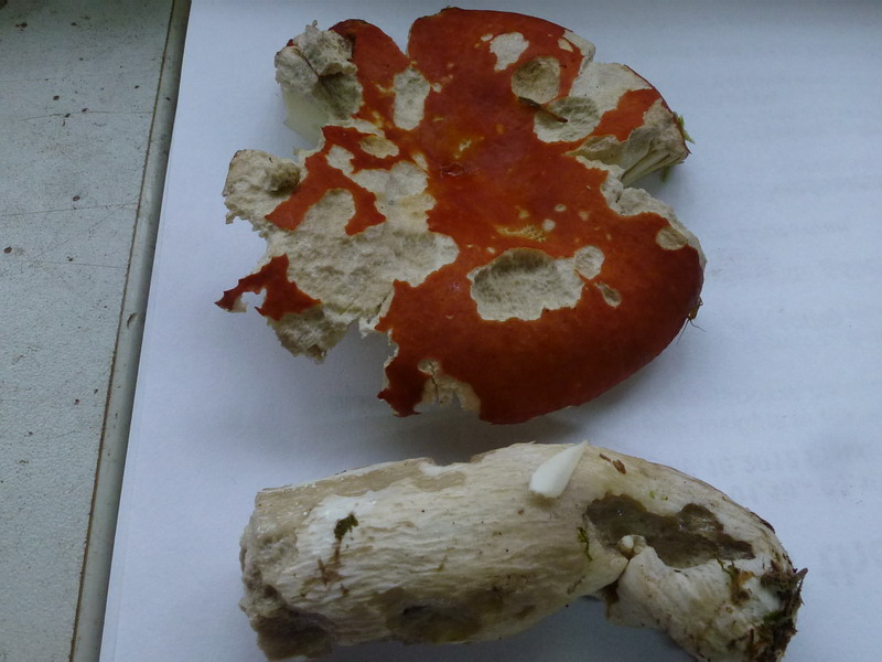 [image]