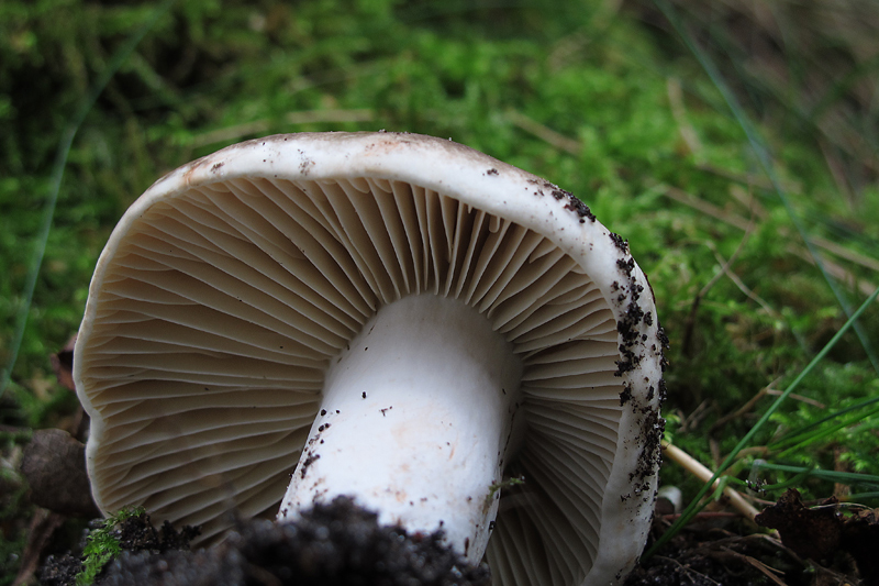 [image]