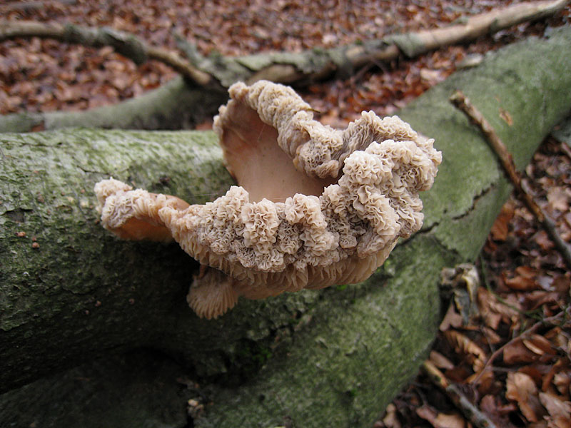 [image]