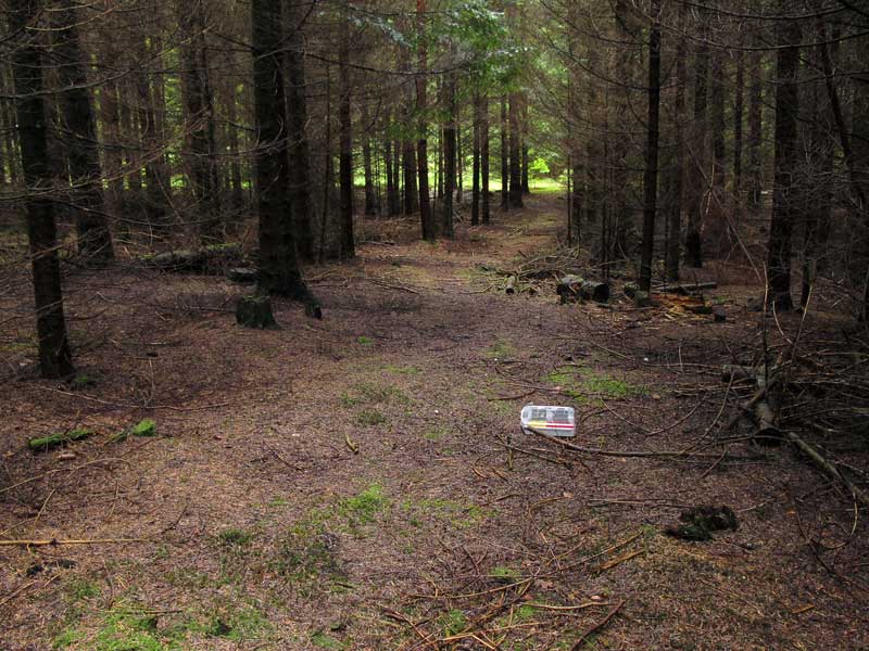 [image]
