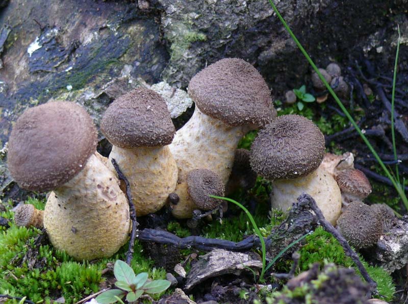 [image]