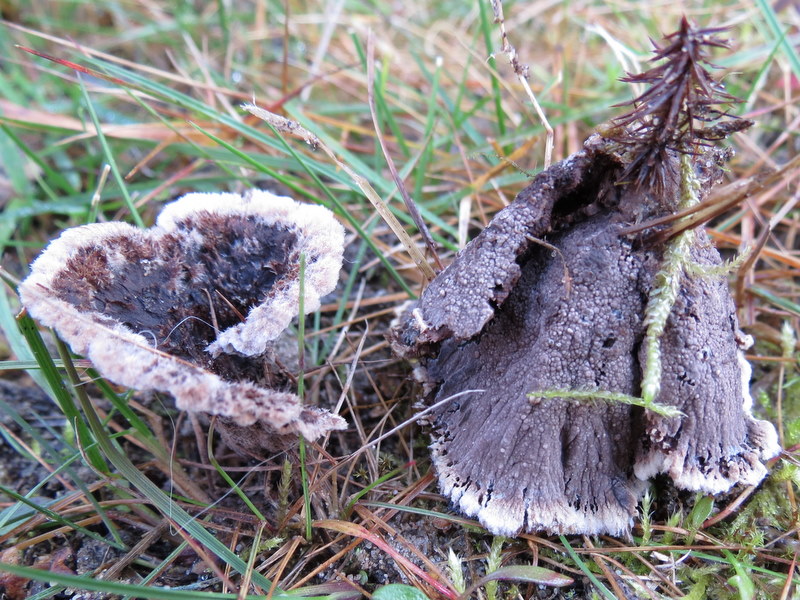 [image]