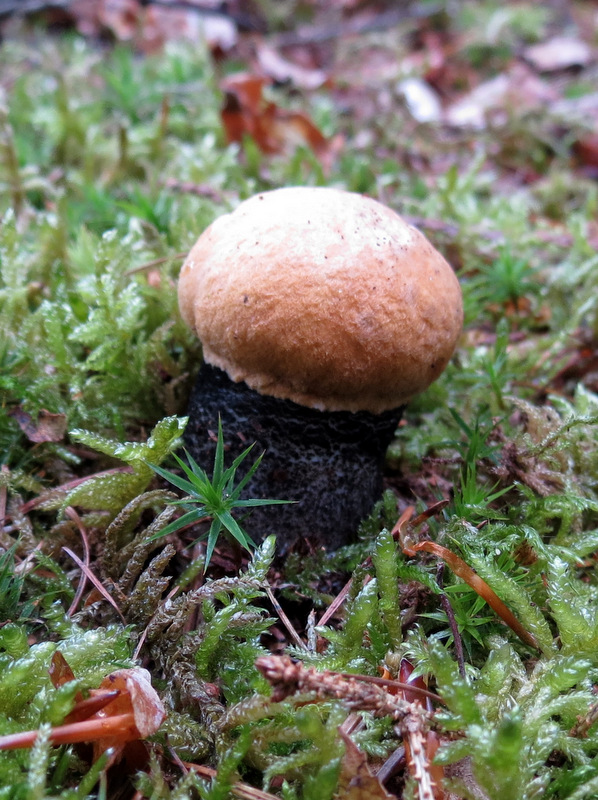 [image]