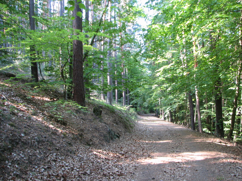 [image]