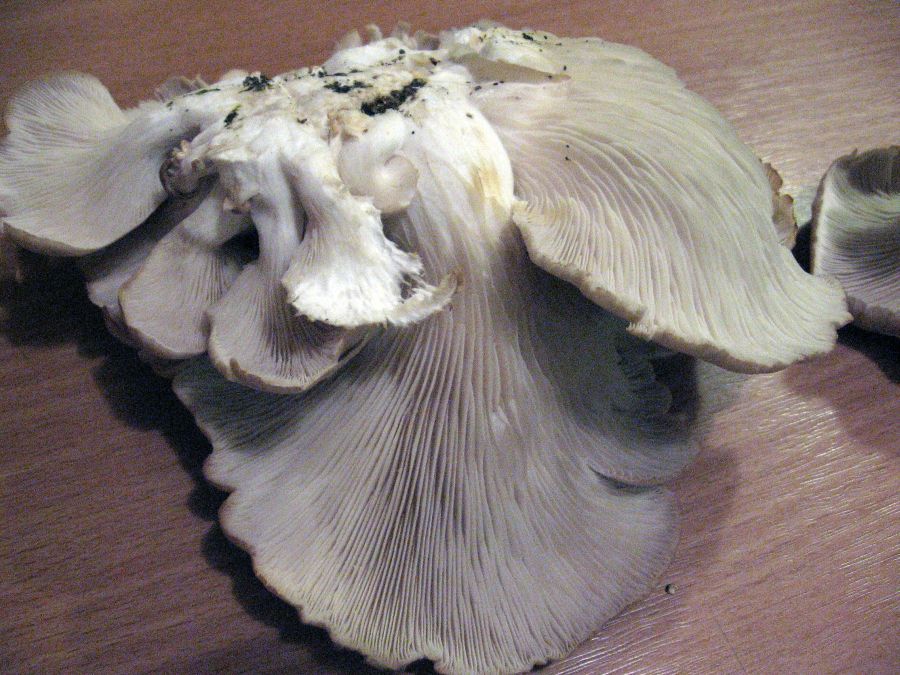 [image]