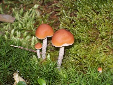 [image]