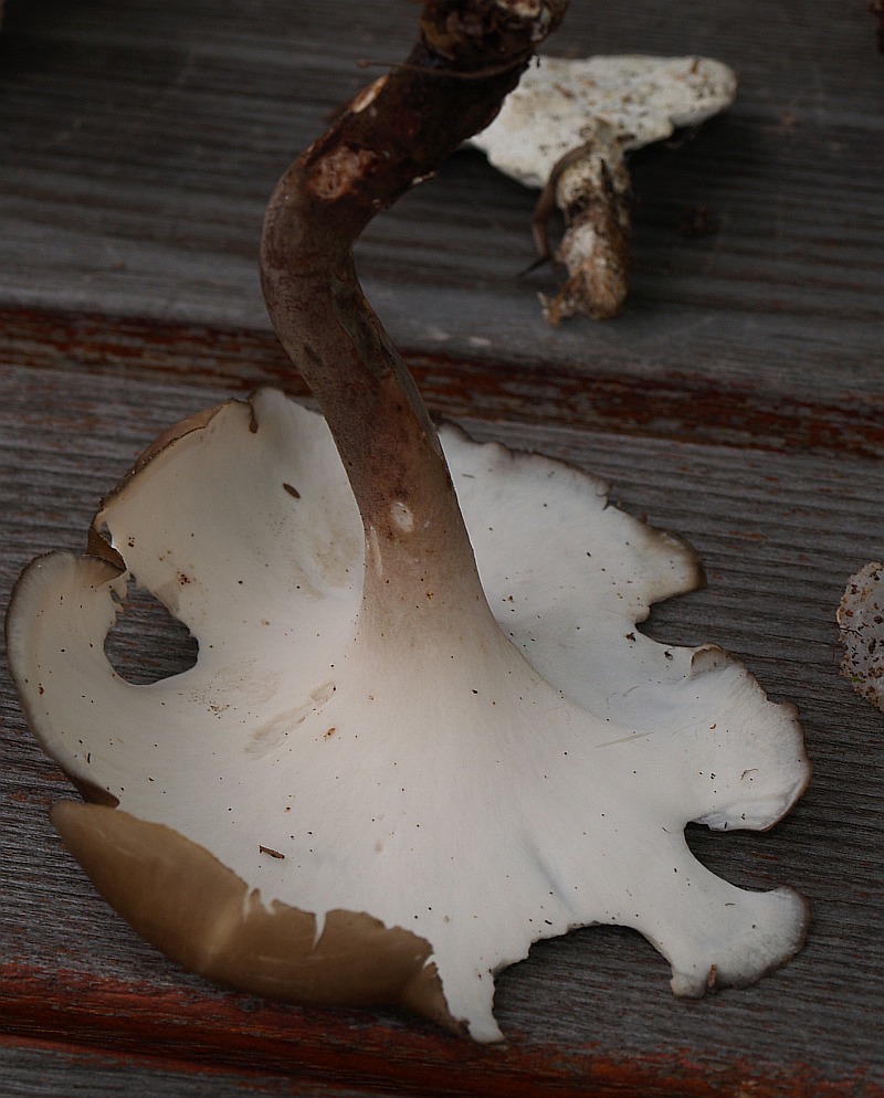 [image]