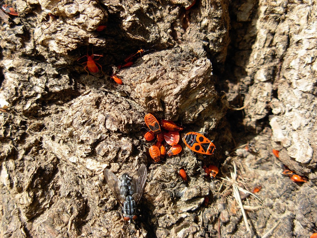 [image]