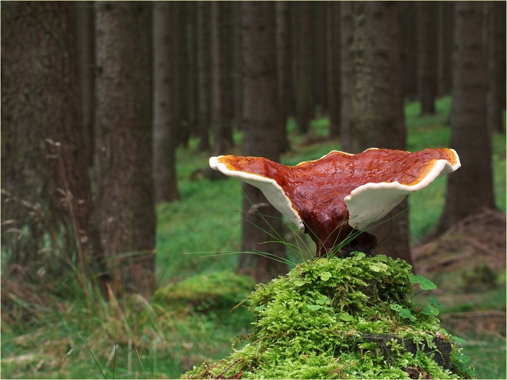 [image]