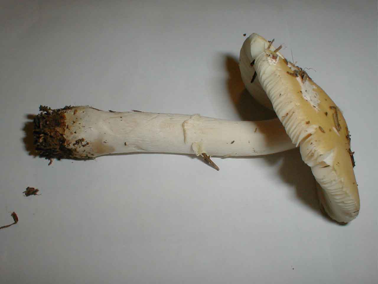 [image]
