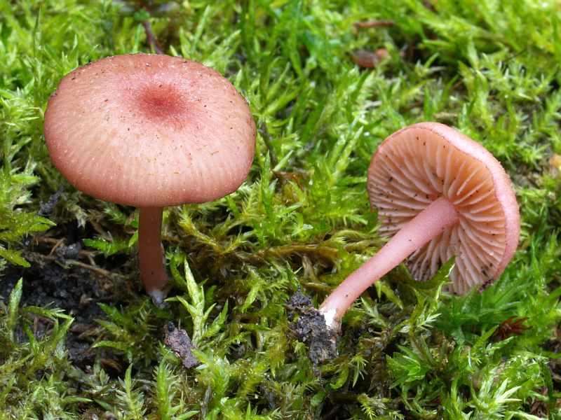 [image]