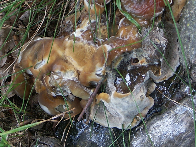 [image]