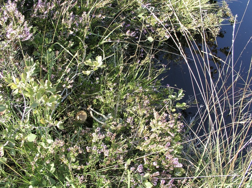 [image]