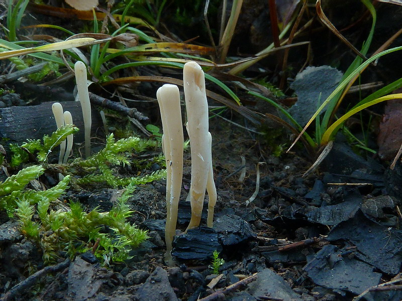 [image]