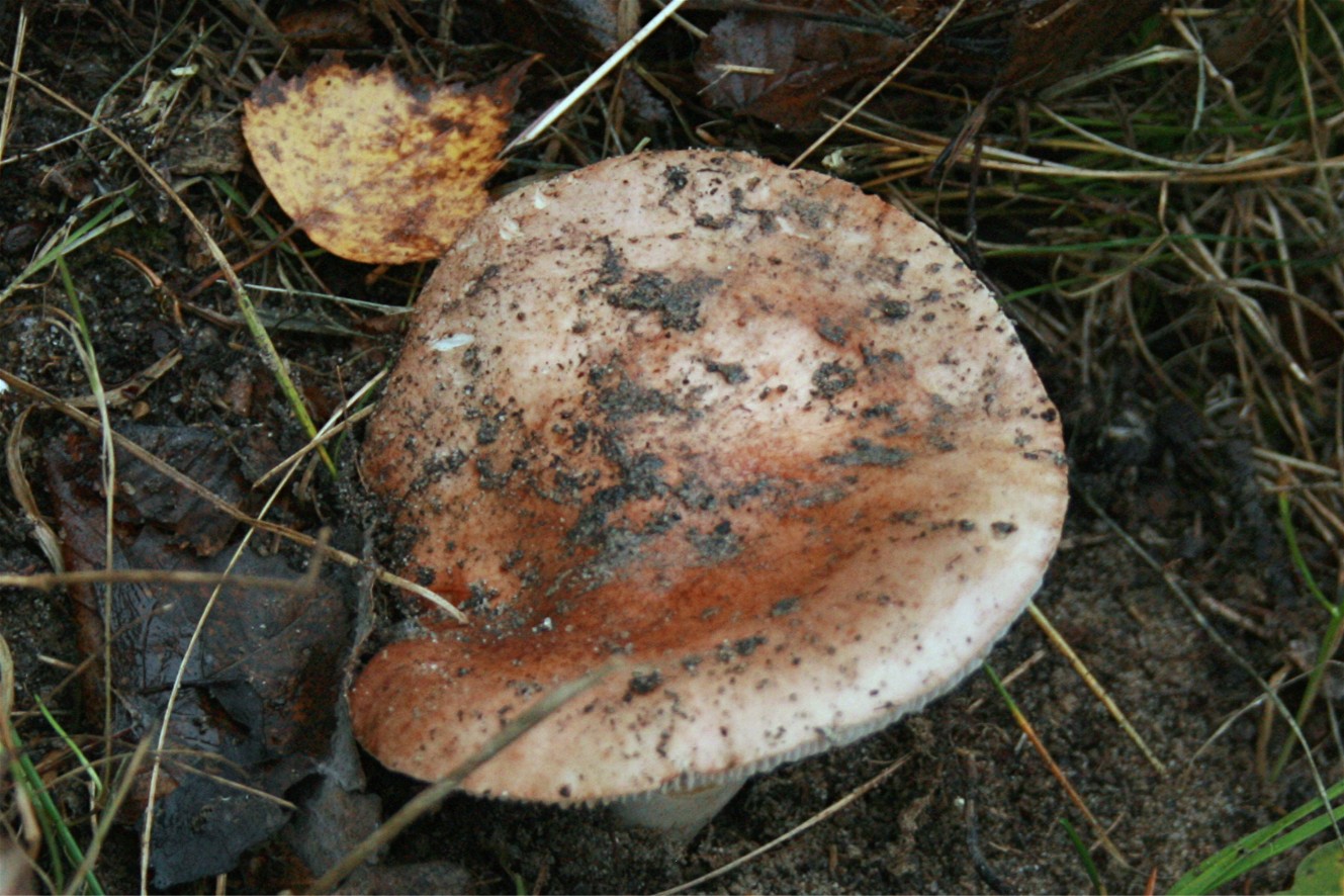 [image]
