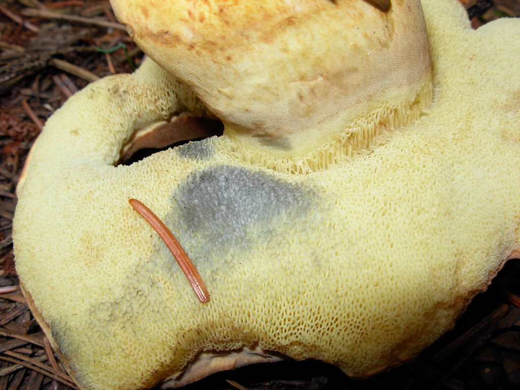 [image]