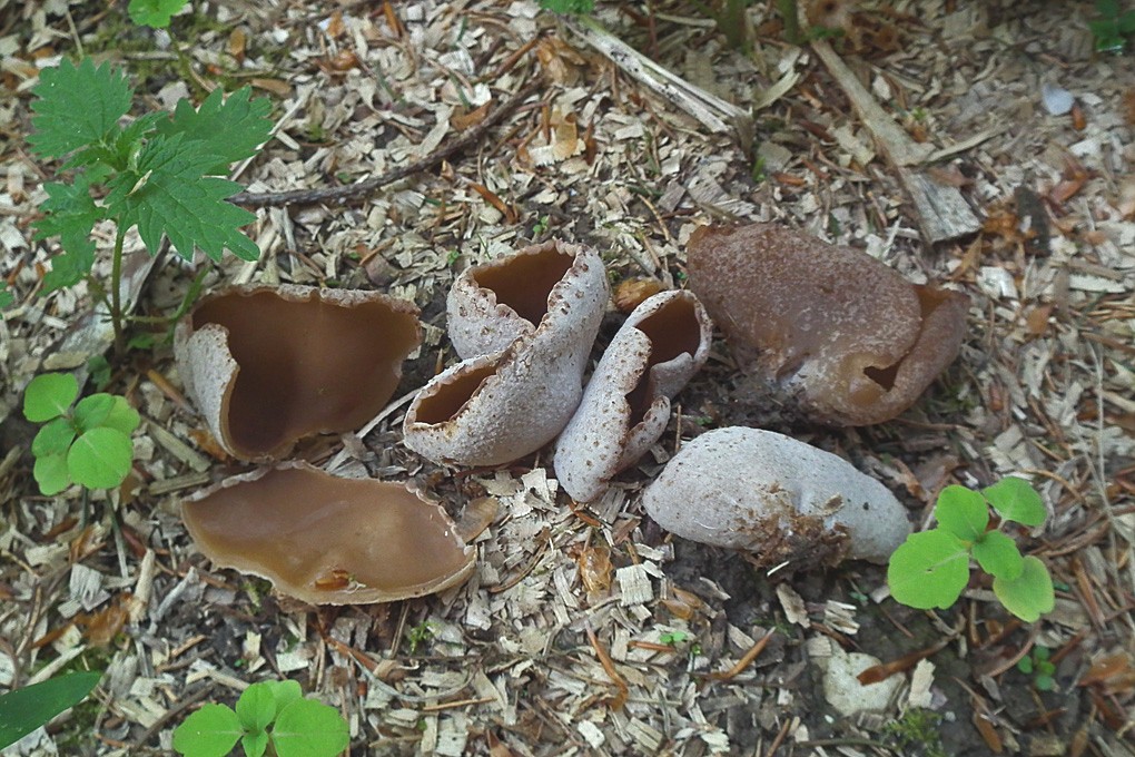 [image]