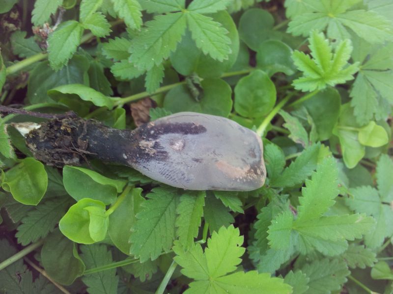 [image]