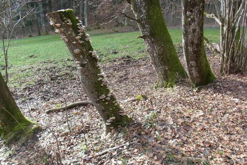 [image]