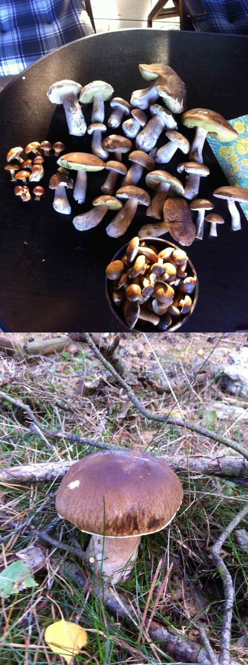 [image]