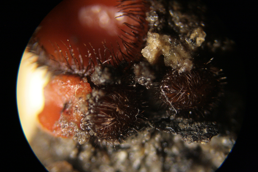 [image]