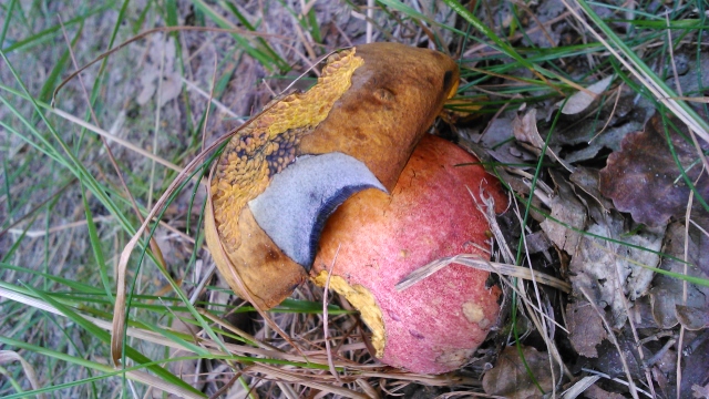 [image]