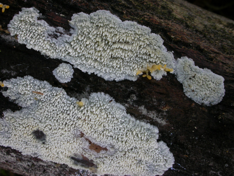 [image]