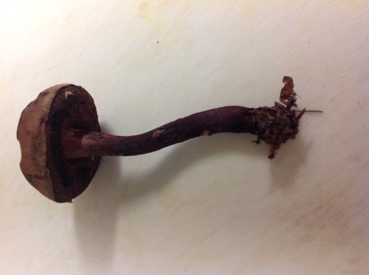 [image]