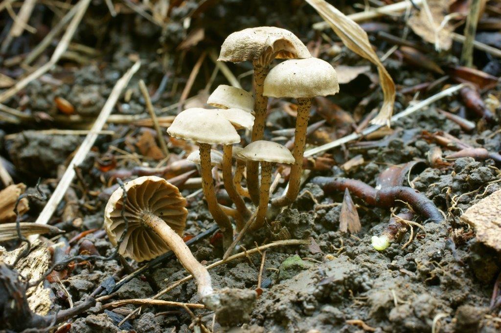 [image]