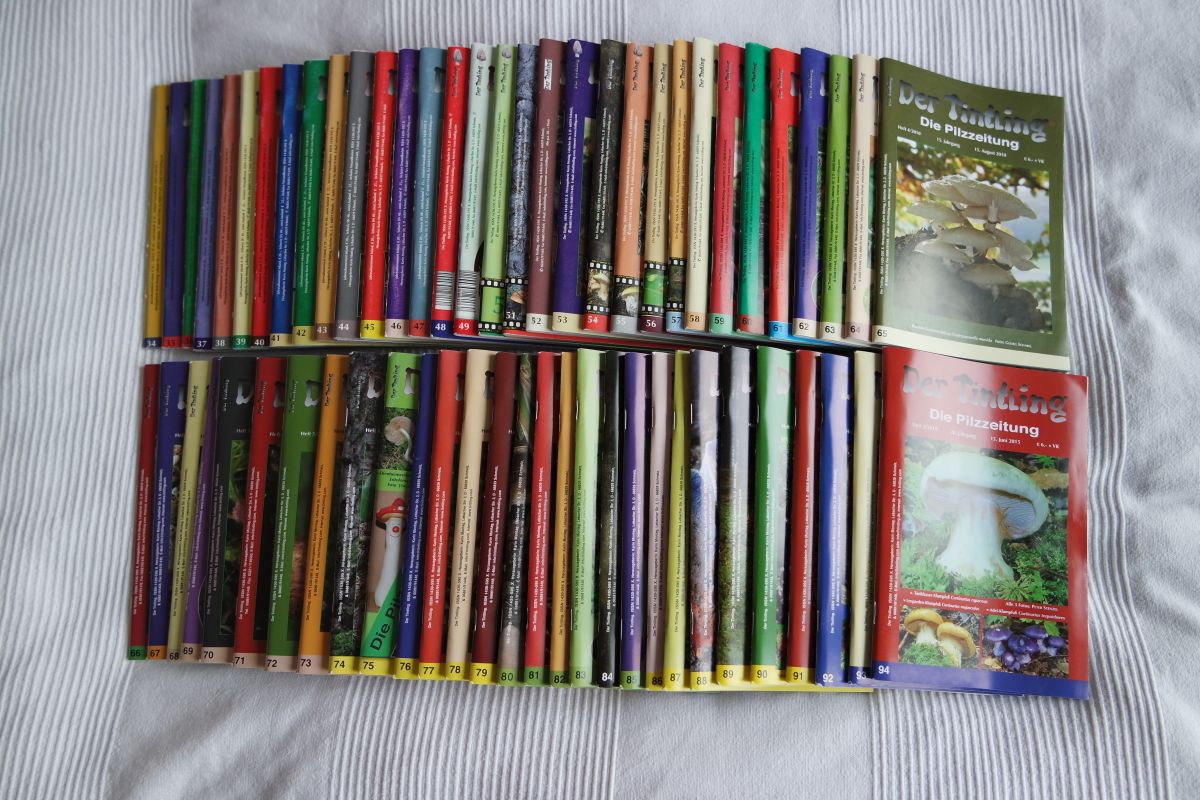[image]
