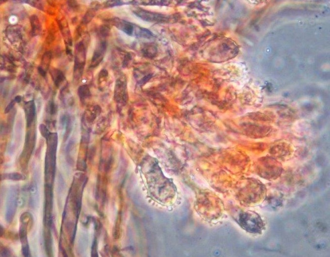 [image]