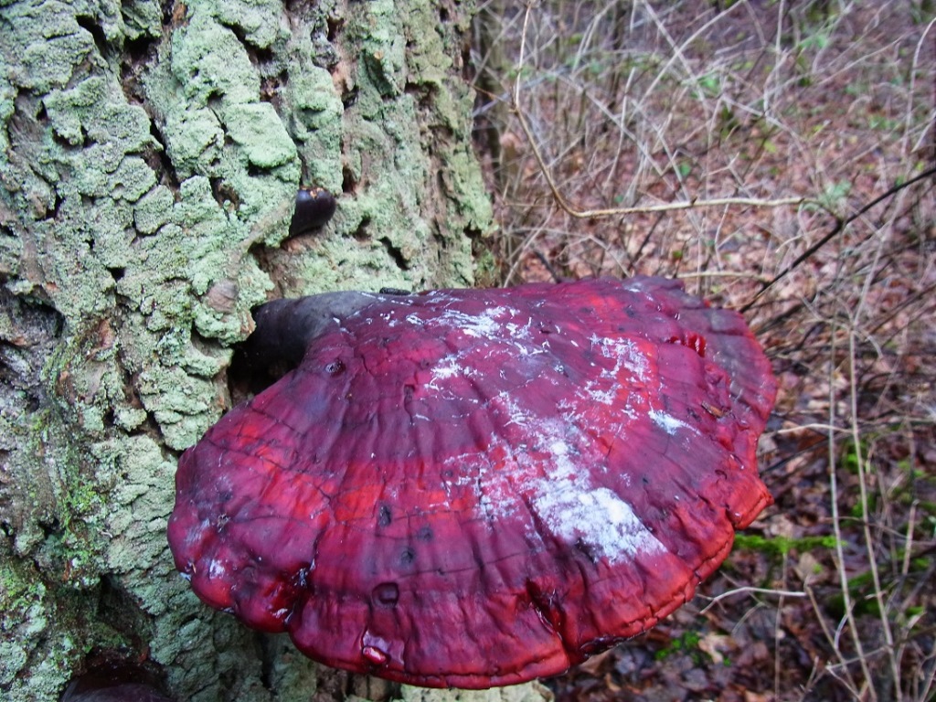 [image]