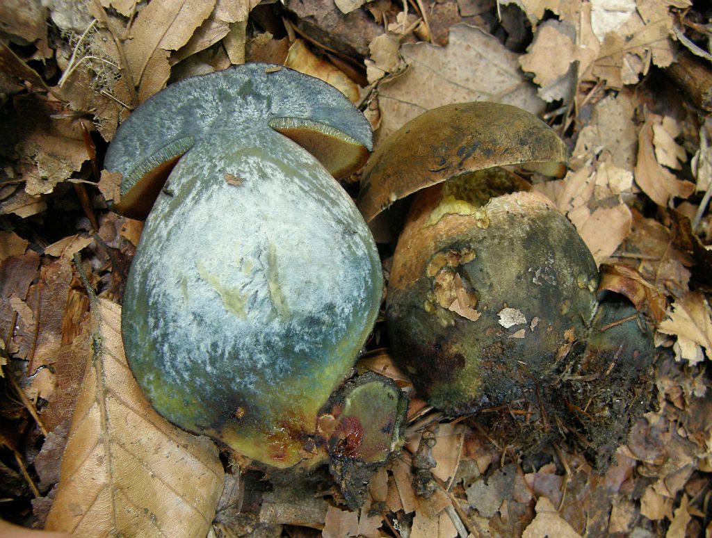 [image]