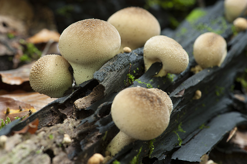 [image]