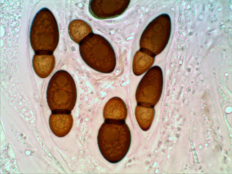 [image]