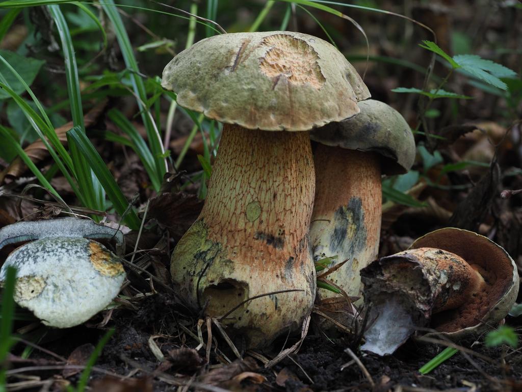 [image]